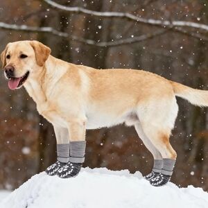 EXPAWLORER Gray and Black Dog Paw Socks - Medium